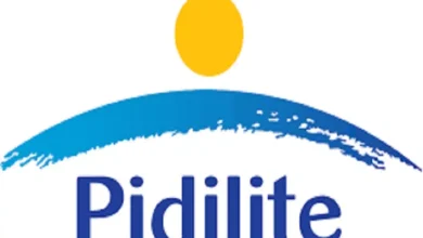 sso login pidilite