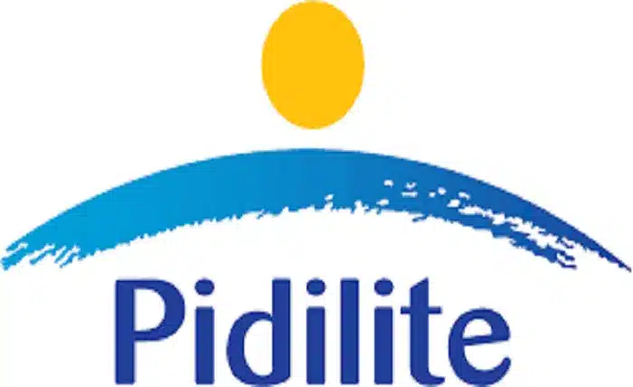 sso login pidilite