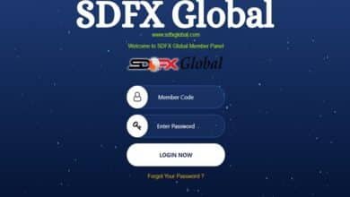 www sdfx global com